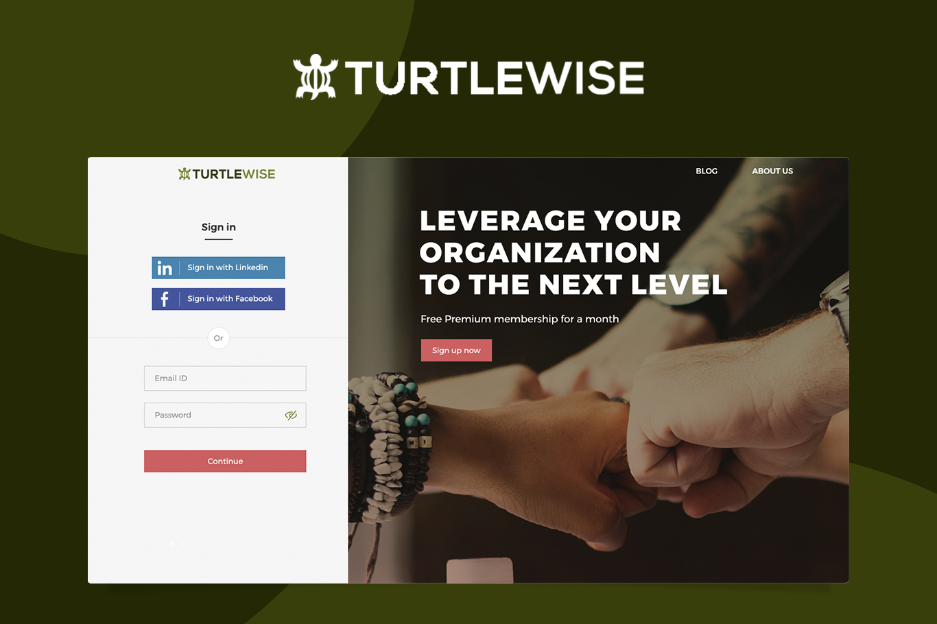 TurtleWise